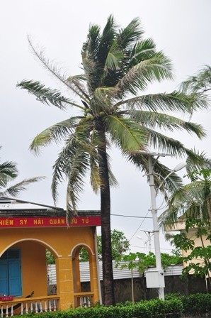 Nam Yet, l’île des cocotiers - ảnh 4